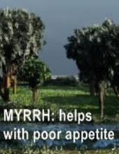 Ormus Minerals Frankincense & Myrrh Anointing Oil helps with poor appetite